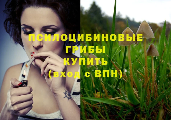 синтетический гашиш Гусев