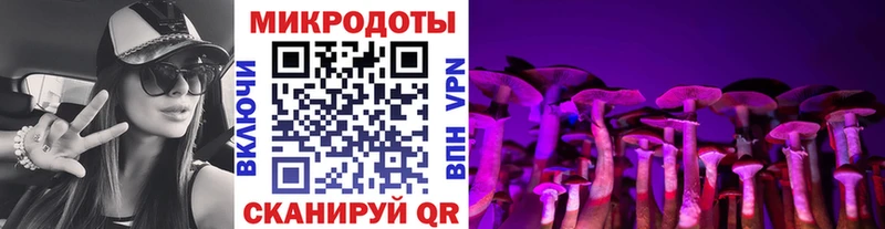 Галлюциногенные грибы Psilocybine cubensis Нытва